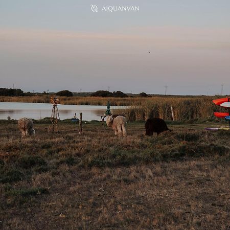 Coorong Island Retreat - Farm Stay At Pet Friendly Property Meningie エクステリア 写真