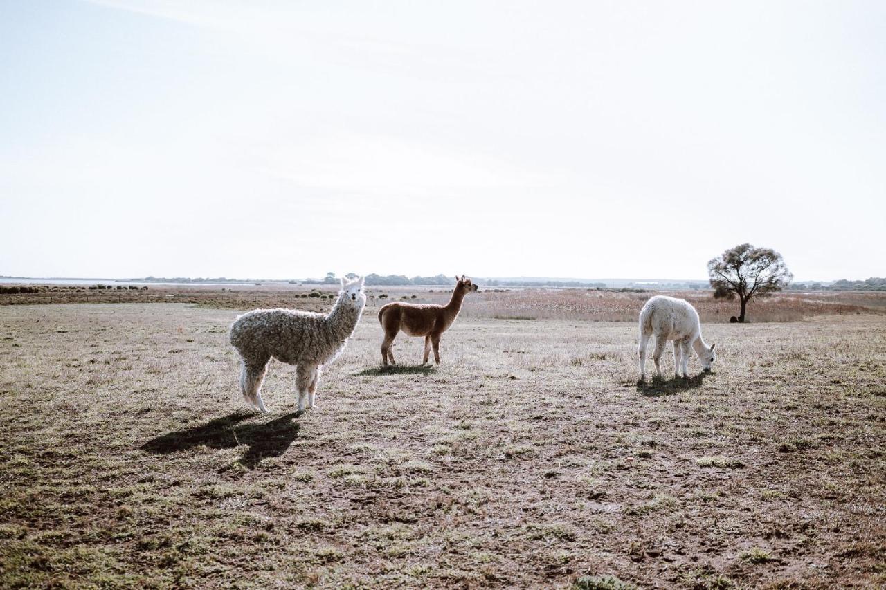Coorong Island Retreat - Farm Stay At Pet Friendly Property Meningie エクステリア 写真