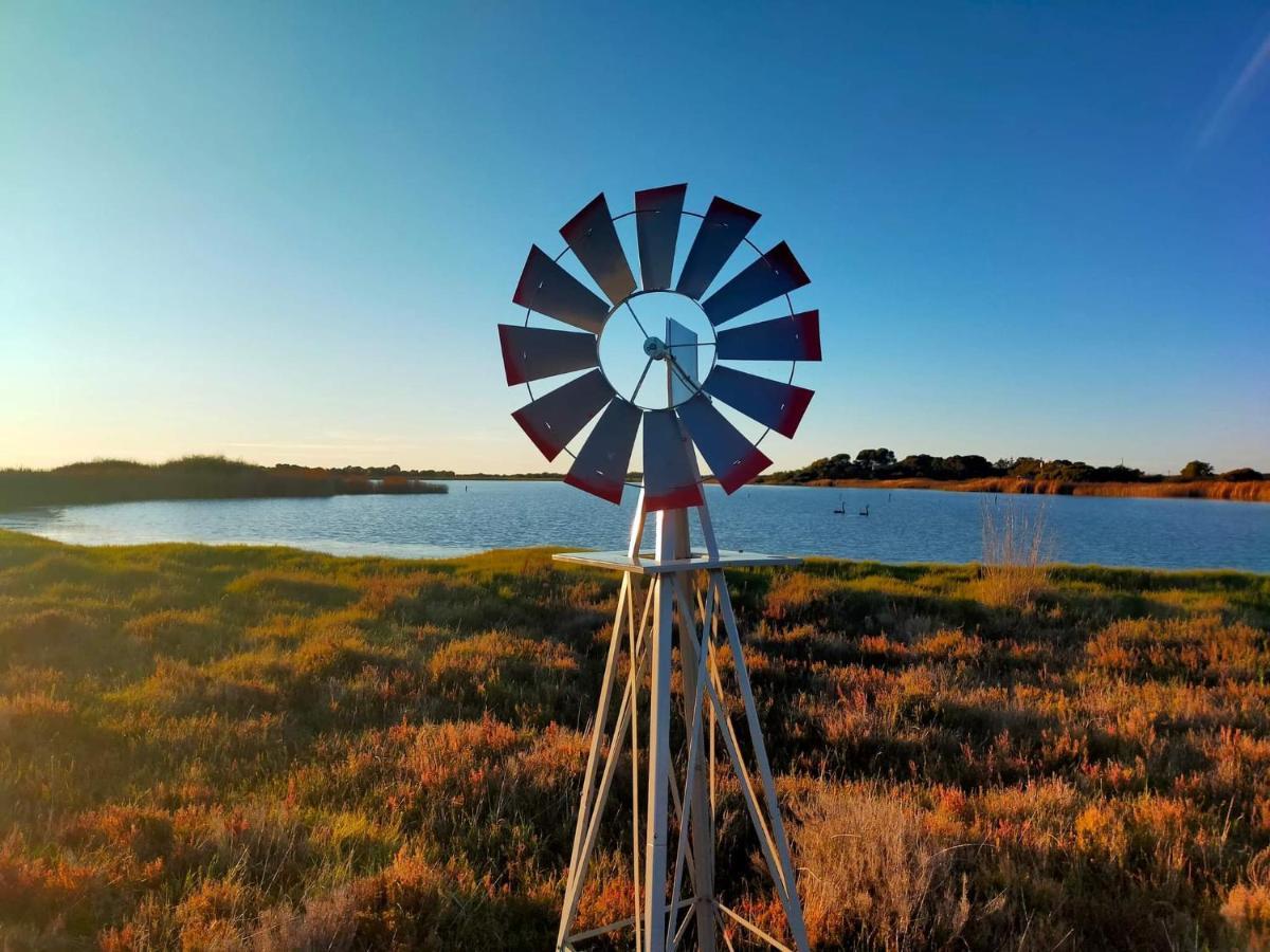 Coorong Island Retreat - Farm Stay At Pet Friendly Property Meningie エクステリア 写真