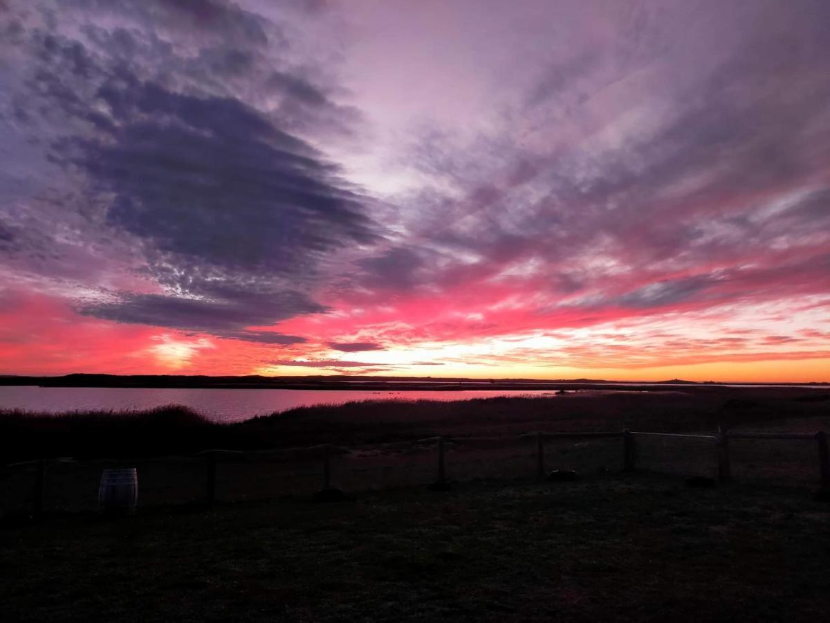 Coorong Island Retreat - Farm Stay At Pet Friendly Property Meningie エクステリア 写真